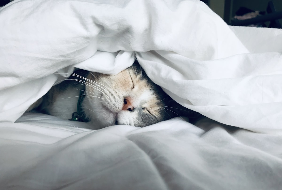 ISI Schlafscreening: Insomnia Severity Index und psychische Gesundheit