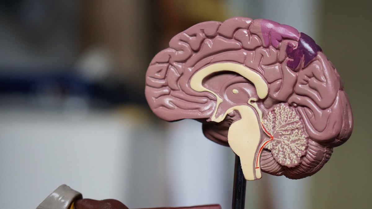Mikrodosierung und psychische Gesundheit: Was die Forschung sagt